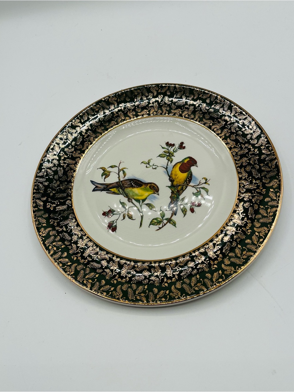 vintage decorative bird Wood & Sons England Plate D 10 Inches